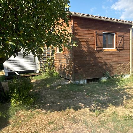 Le Chalet Pignantais Avec Option Jacuzzi Pignans ภายนอก รูปภาพ
